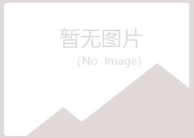 含山县雁玉制造有限公司